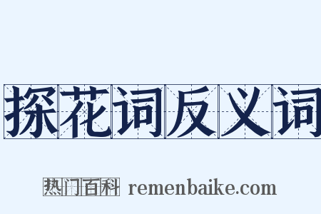 探花词反义词是什么意思的图片